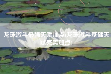 龙珠激斗最强天赋加点(龙珠激斗基础天赋完美加点)