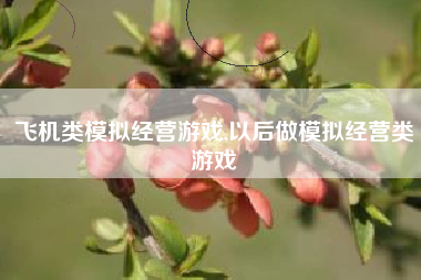 飞机类模拟经营游戏,以后做模拟经营类游戏