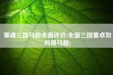 策魂三国马超全面评价(全面三国董卓如何得马超)