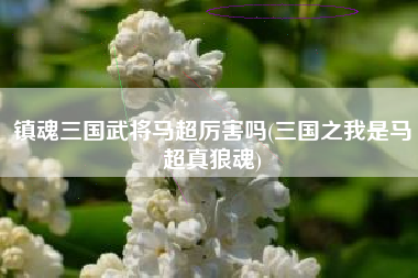 镇魂三国武将马超厉害吗(三国之我是马超真狼魂)