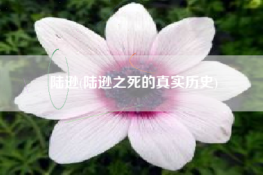 陆逊(陆逊之死的真实历史)