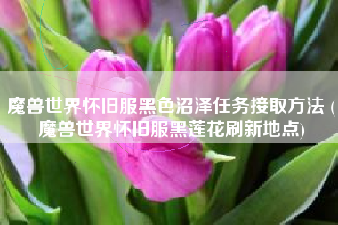 魔兽世界怀旧服黑色沼泽任务接取方法 (魔兽世界怀旧服黑莲花刷新地点)