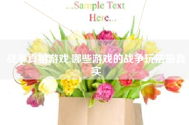 战争真相游戏,哪些游戏的战争玩法最真实