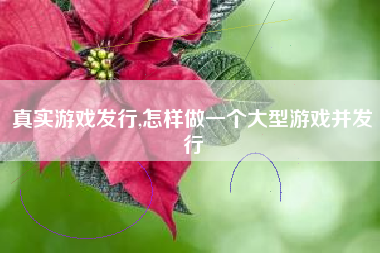 真实游戏发行,怎样做一个大型游戏并发行