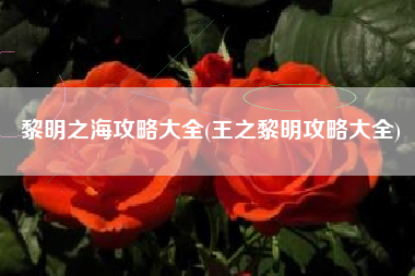 黎明之海攻略大全(王之黎明攻略大全)