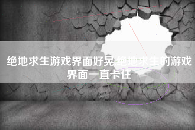 绝地求生游戏界面好晃,绝地求生的游戏界面一直卡住