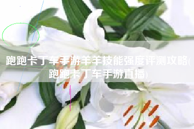 跑跑卡丁车手游羊羊技能强度评测攻略(跑跑卡丁车手游直播)