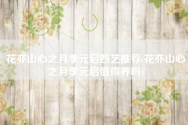 花亦山心之月季元启四艺推荐(花亦山心之月季元启值得养吗)