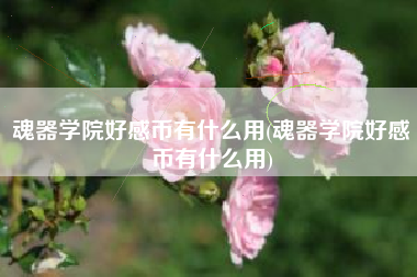 魂器学院好感币有什么用(魂器学院好感币有什么用)