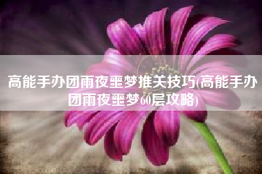 高能手办团雨夜噩梦推关技巧(高能手办团雨夜噩梦60层攻略)