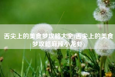 舌尖上的美食梦攻略大全(舌尖上的美食梦攻略麻辣小龙虾)