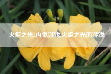 火炬之光2内似游戏,火炬之光的游戏