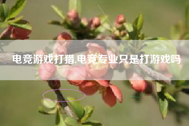 电竞游戏打猎,电竞专业只是打游戏吗