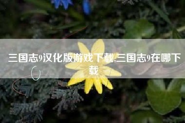 三国志9汉化版游戏下载,三国志9在哪下载