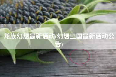 龙族幻想最新活动(幻想三国最新活动公告)