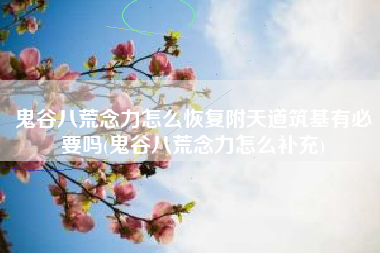 鬼谷八荒念力怎么恢复附天道筑基有必要吗(鬼谷八荒念力怎么补充)