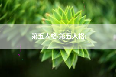 第五人格(第五人格)