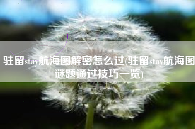 驻留stay航海图解密怎么过(驻留stay航海图谜题通过技巧一览)