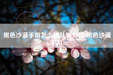 黑色沙漠手游怎么组队刷野怪(黑色沙漠手游)