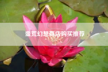 蛮荒幻想商店购买推荐
