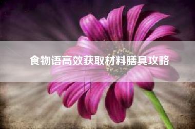 食物语高效获取材料膳具攻略