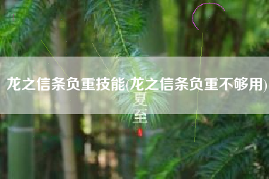 龙之信条负重技能(龙之信条负重不够用)