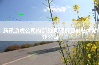 腾讯游戏公司内部,如何评价目前各大游戏公司