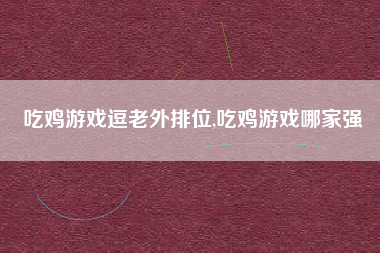 吃鸡游戏逗老外排位,吃鸡游戏哪家强