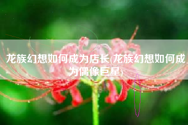 龙族幻想如何成为店长(龙族幻想如何成为偶像巨星)