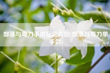 部落与弯刀手游玩法介绍(部落与弯刀单手剑)
