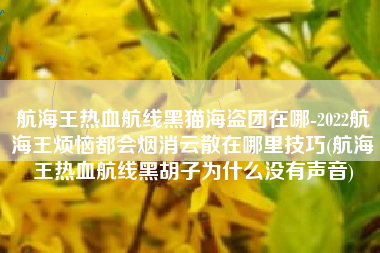 航海王热血航线黑猫海盗团在哪-2022航海王烦恼都会烟消云散在哪里技巧(航海王热血航线黑胡子为什么没有声音)