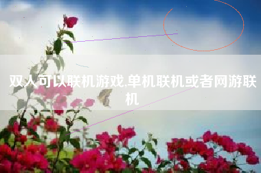 双人可以联机游戏,单机联机或者网游联机