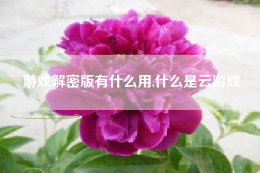 游戏解密版有什么用,什么是云游戏
