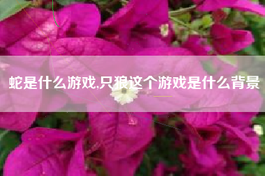 蛇是什么游戏,只狼这个游戏是什么背景