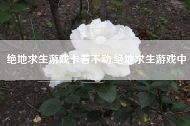 绝地求生游戏卡着不动,绝地求生游戏中