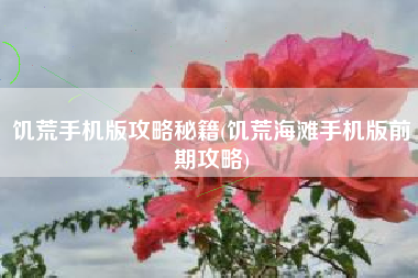 饥荒手机版攻略秘籍(饥荒海滩手机版前期攻略)
