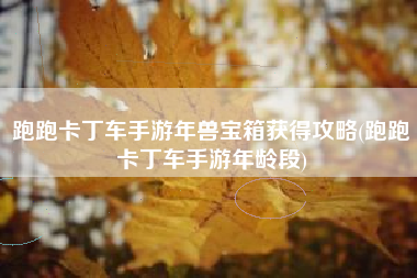 跑跑卡丁车手游年兽宝箱获得攻略(跑跑卡丁车手游年龄段)