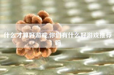 什么才算好游戏,你们有什么好游戏推荐吗