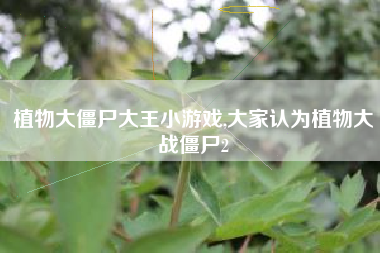 植物大僵尸大王小游戏,大家认为植物大战僵尸2