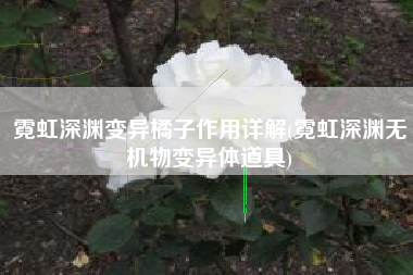 霓虹深渊变异橘子作用详解(霓虹深渊无机物变异体道具)