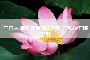 三国志9单机硬盘游戏下载,三国志9在哪下载