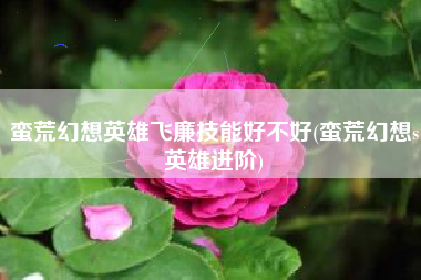 蛮荒幻想英雄飞廉技能好不好(蛮荒幻想s英雄进阶)