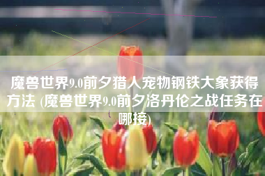 魔兽世界9.0前夕猎人宠物钢铁大象获得方法 (魔兽世界9.0前夕洛丹伦之战任务在哪接)