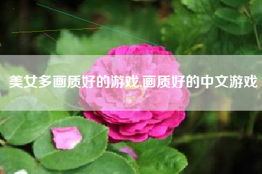 美女多画质好的游戏,画质好的中文游戏