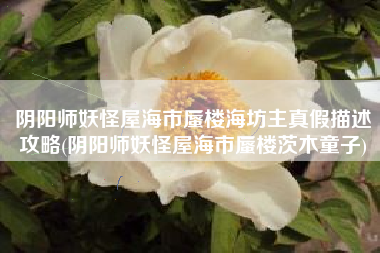 阴阳师妖怪屋海市蜃楼海坊主真假描述攻略(阴阳师妖怪屋海市蜃楼茨木童子)