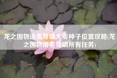 龙之国物语麦芽镇大麦种子位置攻略(龙之国物语麦芽镇所有任务)