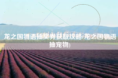 龙之国物语抽奖券获取攻略(龙之国物语抽宠物)