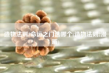 造物法则2命运之门选哪个(造物法则2漫画)