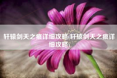 轩辕剑天之痕详细攻略(轩辕剑天之痕详细攻略)