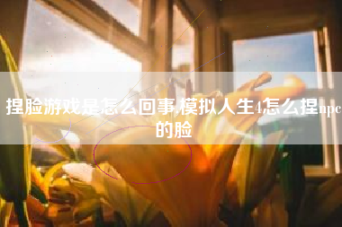捏脸游戏是怎么回事,模拟人生4怎么捏npc的脸
